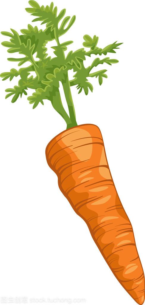 胡蘿卜根蔬菜卡通插圖