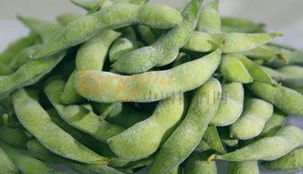 山東青果食品