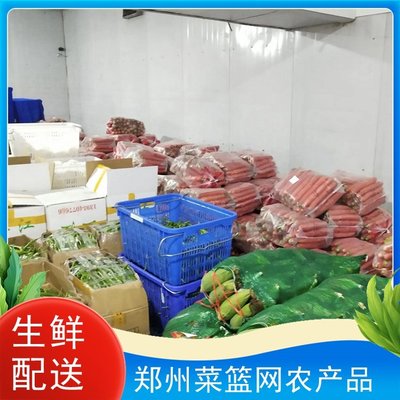 同城蔬菜配送公司蔬菜瓜果批發服務 幼兒園工廠學校食堂