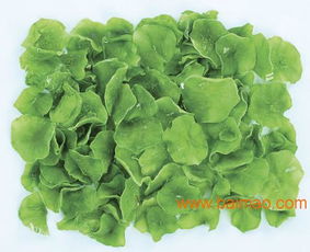 脫水萵筍 脫水蔬菜 頂能食品,脫水萵筍 脫水蔬菜 頂能食品生產廠家,脫水萵筍 脫水蔬菜 頂能食品價格